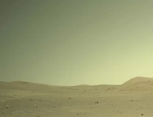 How synthetic lichens can launch Martian construction